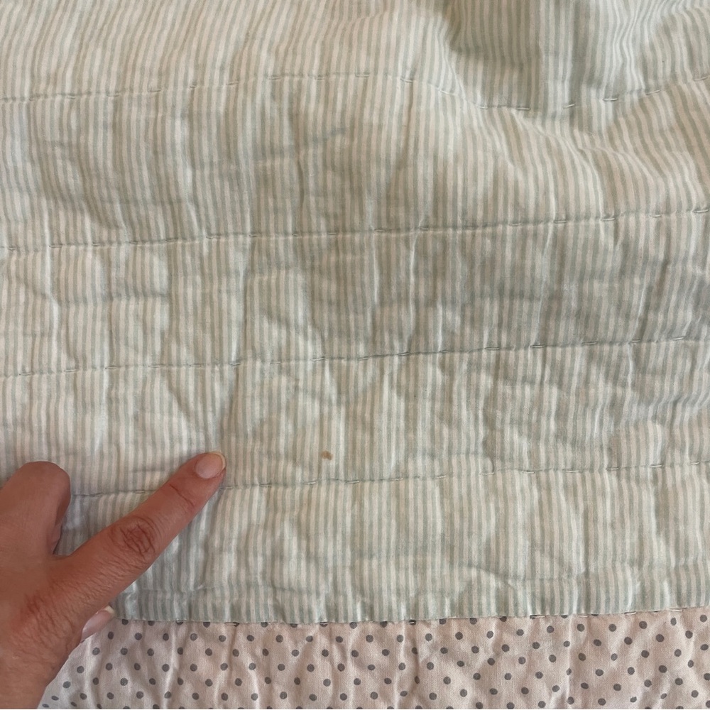 Pottery Barn Kids Quilted Bedding Set - Picture 12 of 12